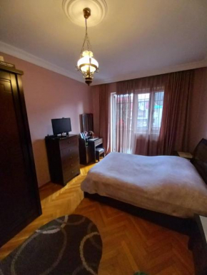 Apartment Rustaveli 162